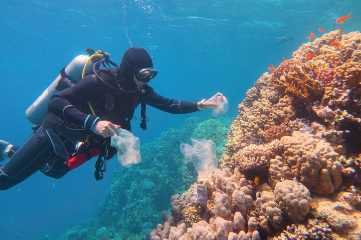 A Clean Coast Crew volunteer scuba diver is seen underwater collecting plastic debris off of a coral reef